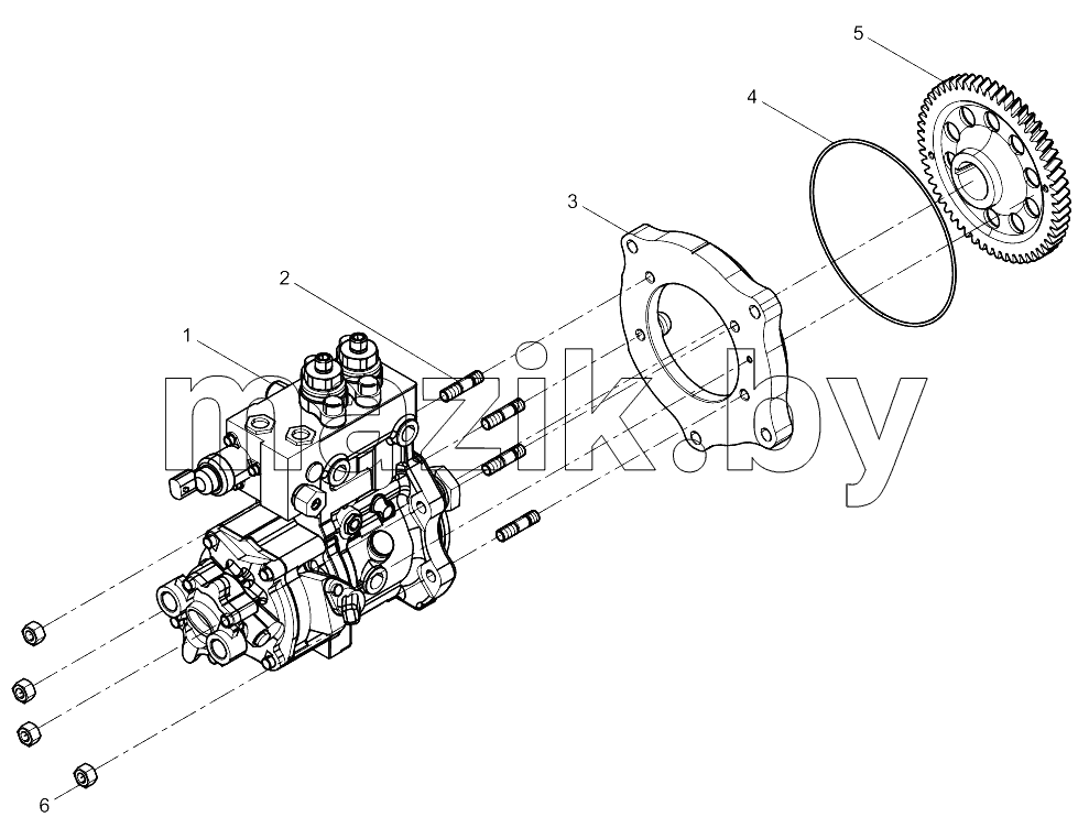  Fuel Injection Pump Set