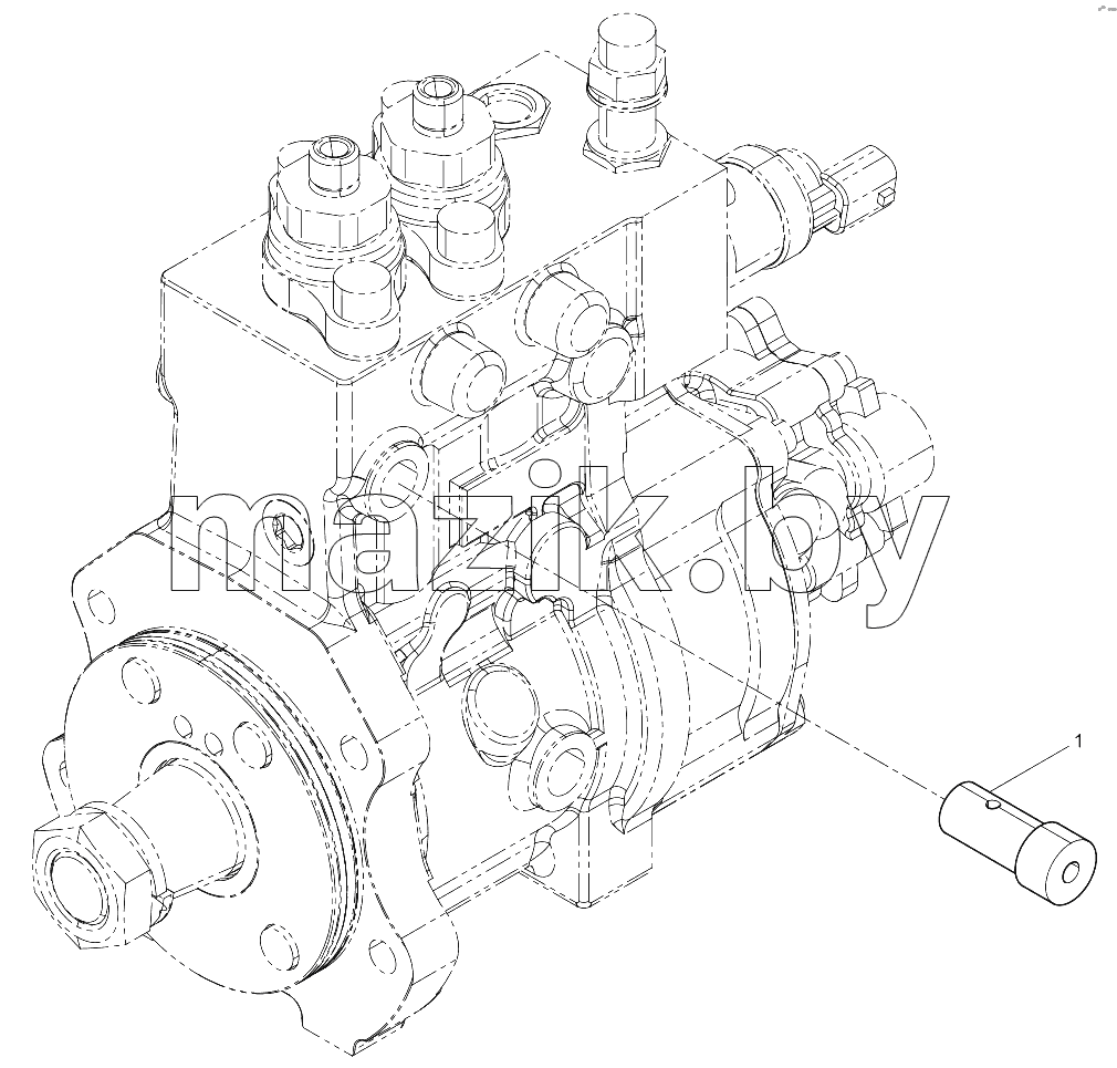  Fuel Injection Pump Assembly