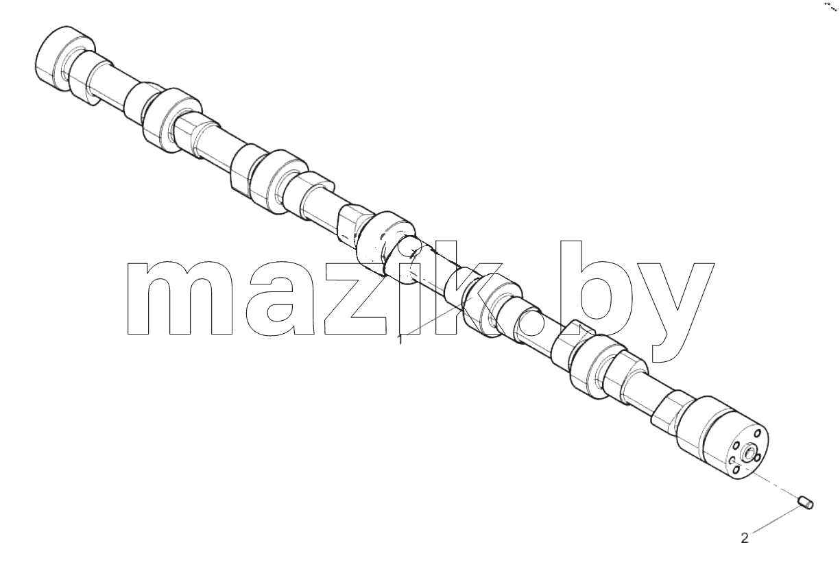  Camshaft Assembly