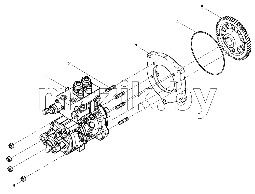  Fuel Injection Pump  Set