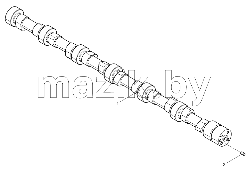  Camshaft Assembly