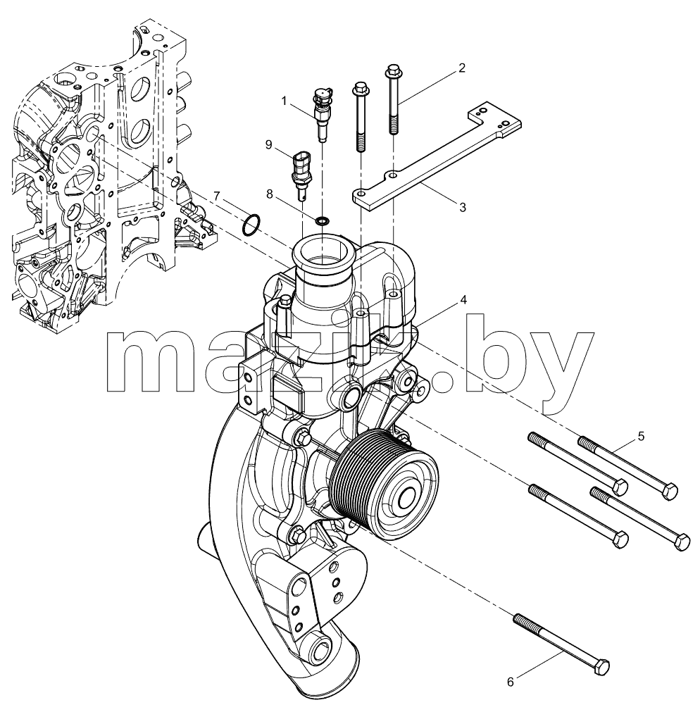  Water Pump Group