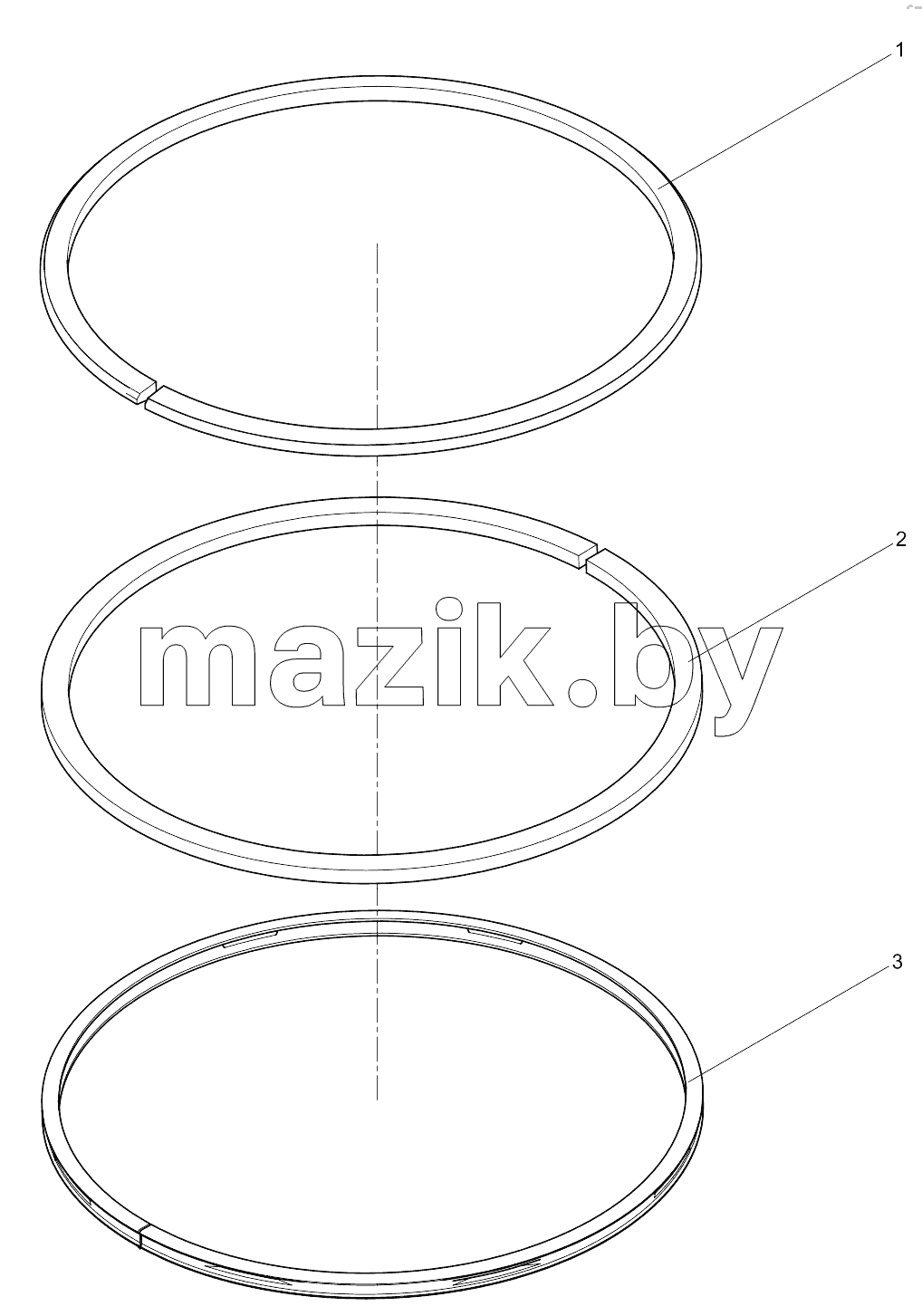  Piston ring assembly