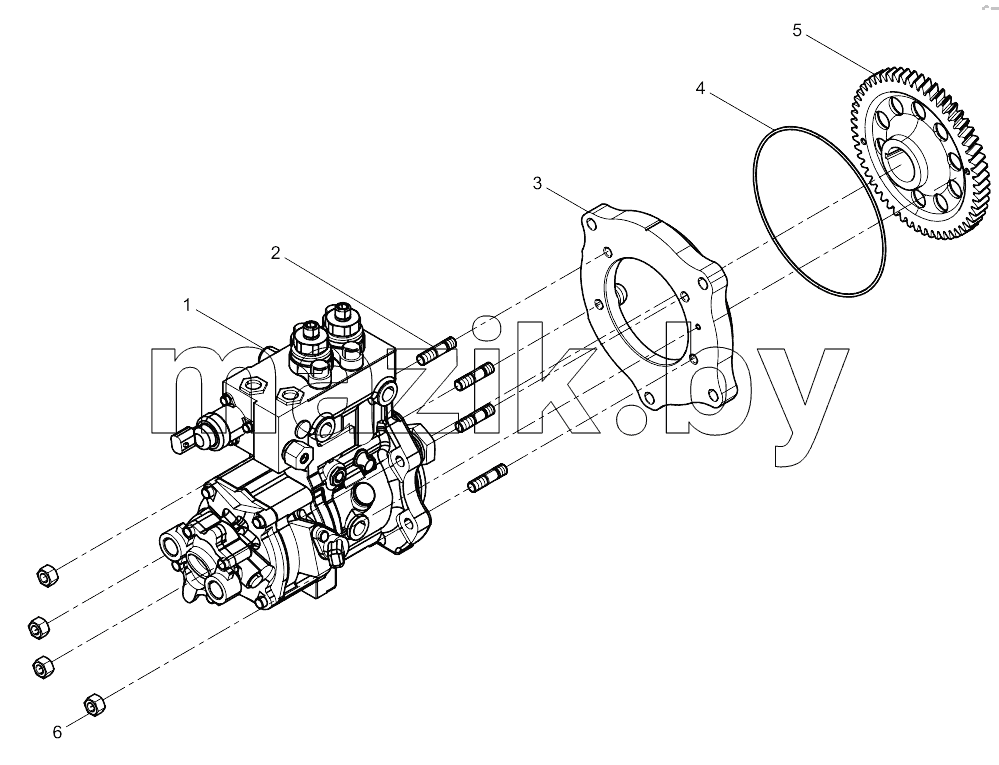  Injection pump assembly