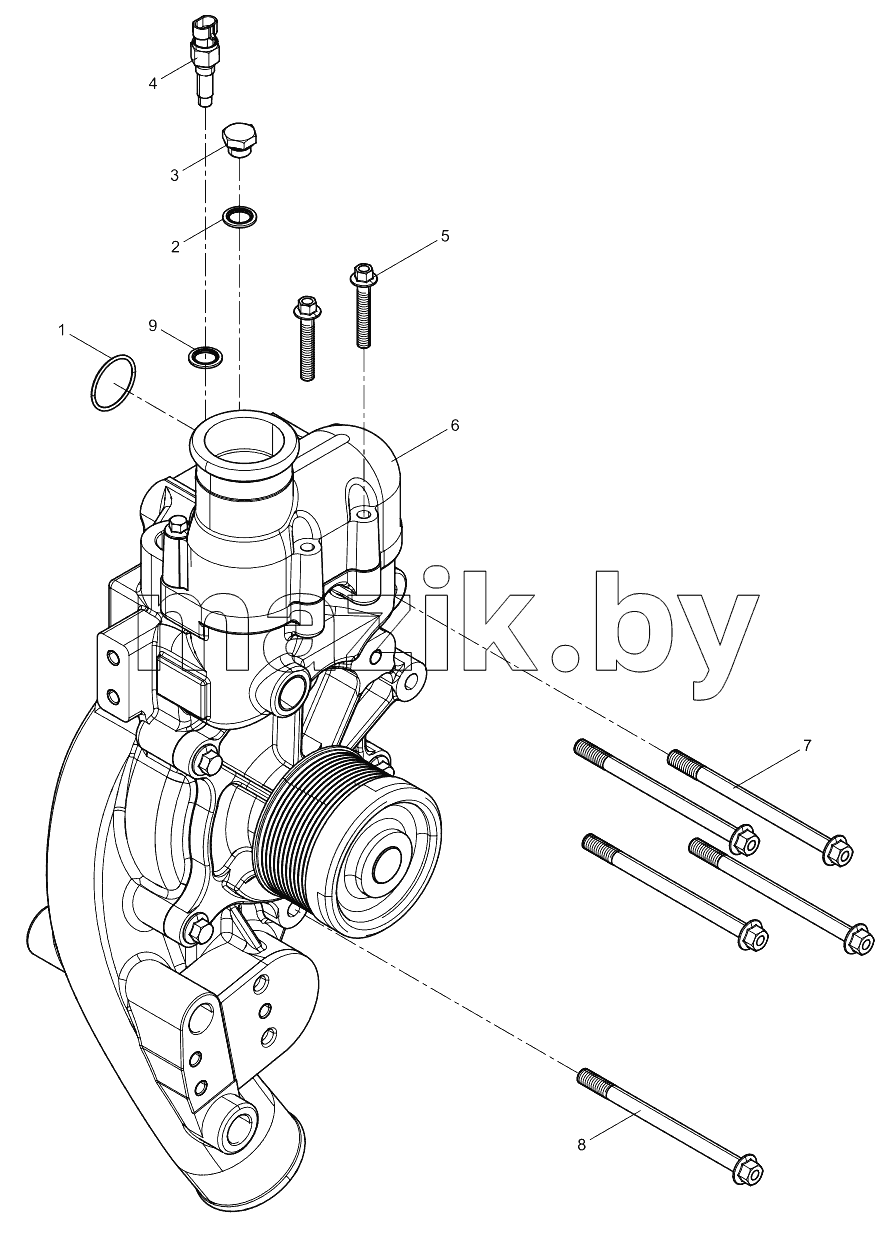  Группа водяного насоса (помпы)