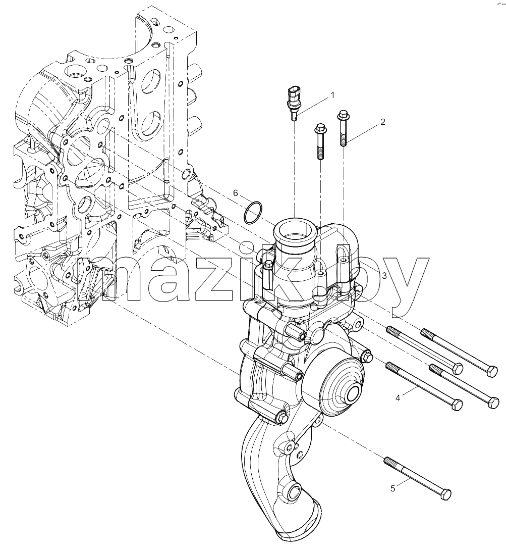 Water Pump Group