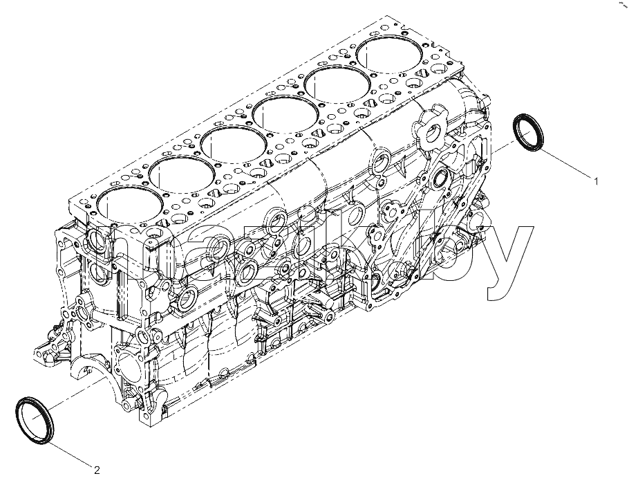 Oil Seal Group