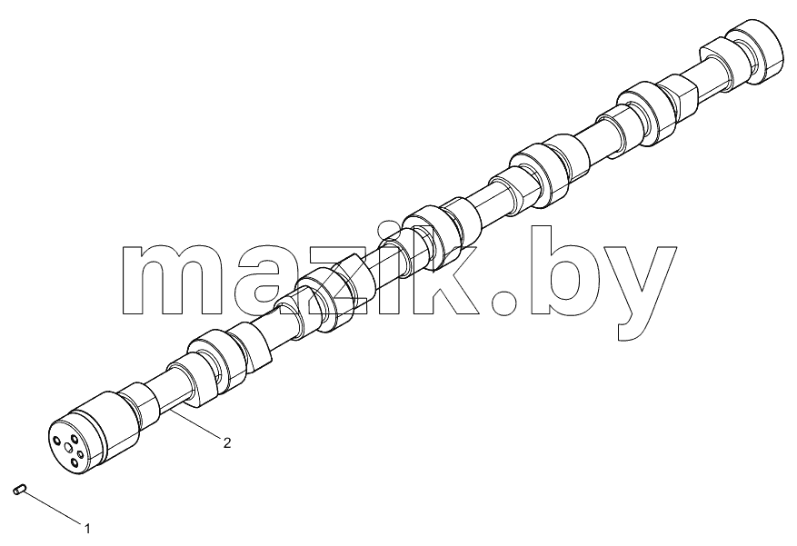  Camshaft Assembly