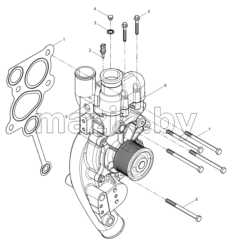 Water Pump Group