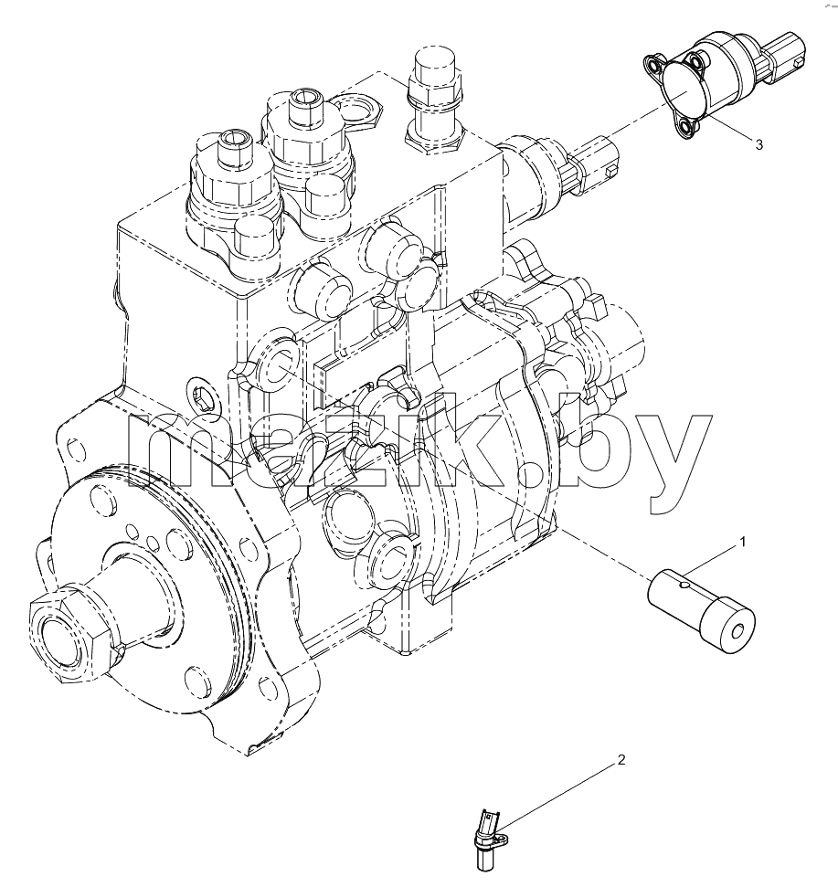  Fuel Injection Pump Assembly