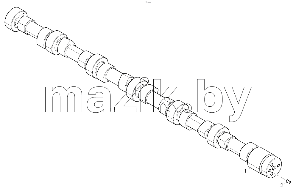  Camshaft Assembly