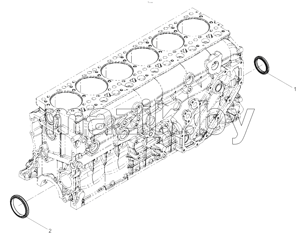  Oil Seal Group