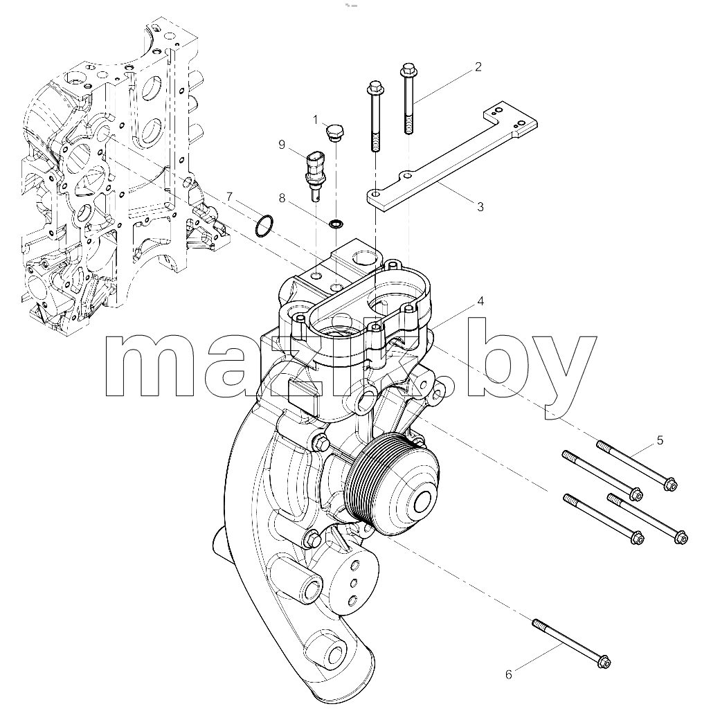  Water Pump Group