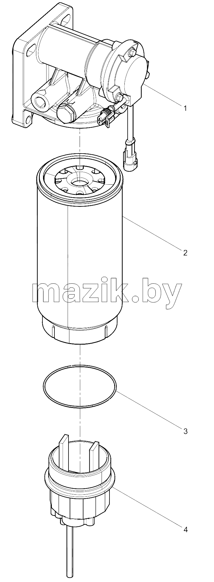  Fuel System Protector