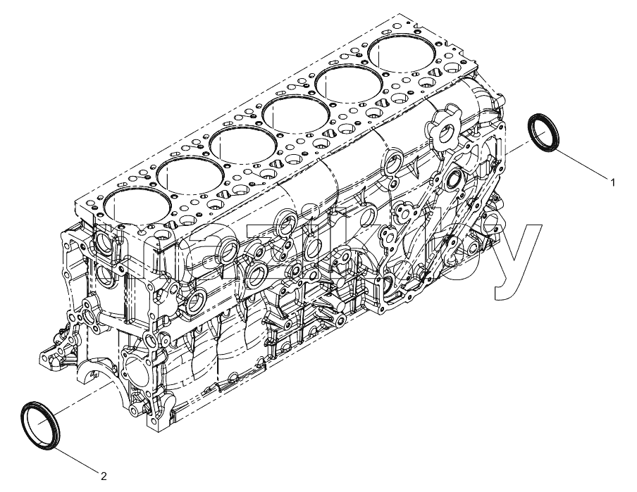  Oil Seal Group