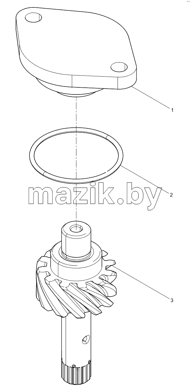  Oil Pump Drivien Gear