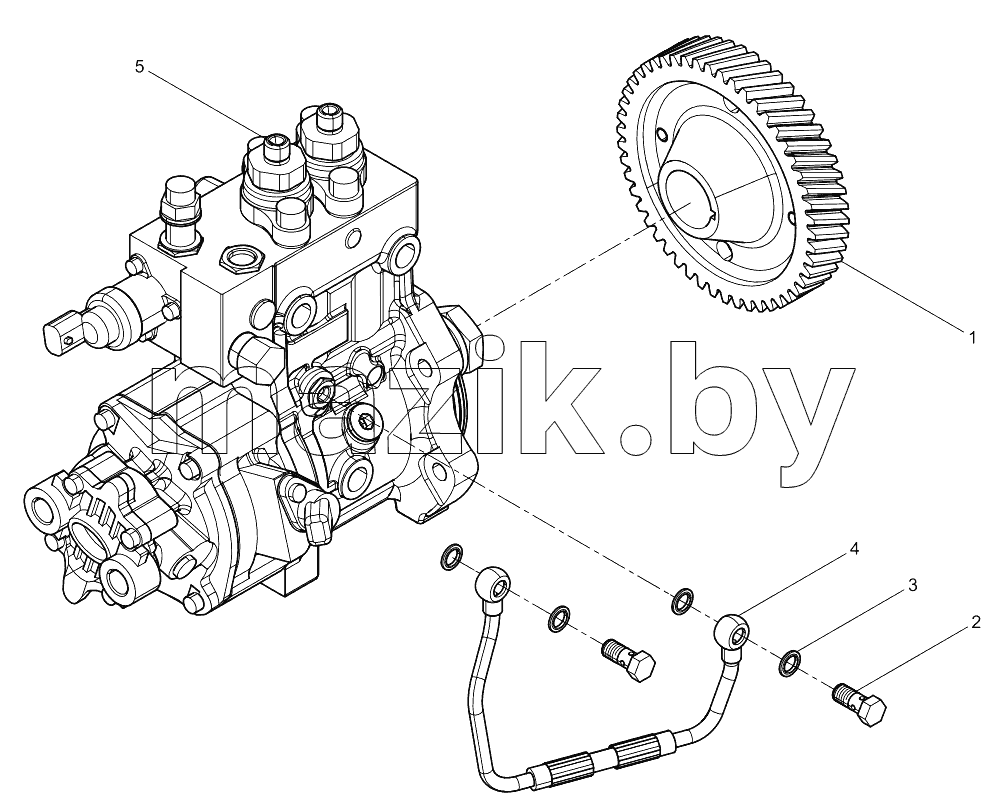  Fuel Injection Pump Group