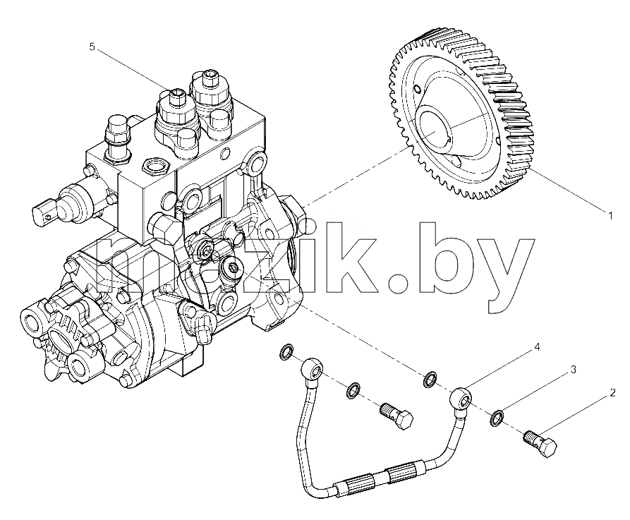  Fuel Injection Pump Group