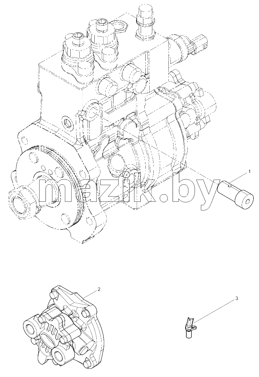  Fuel Injection Pump Assembly