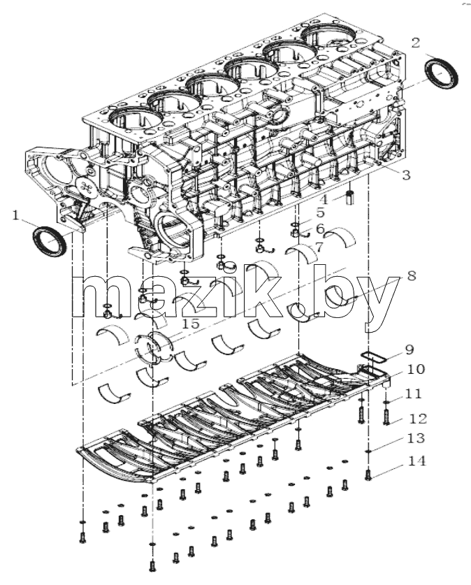  Body binding group