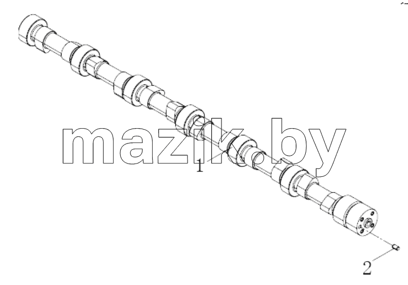  Camshaft assembly
