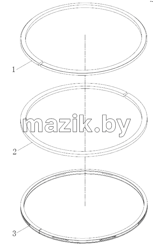  Piston ring assembly