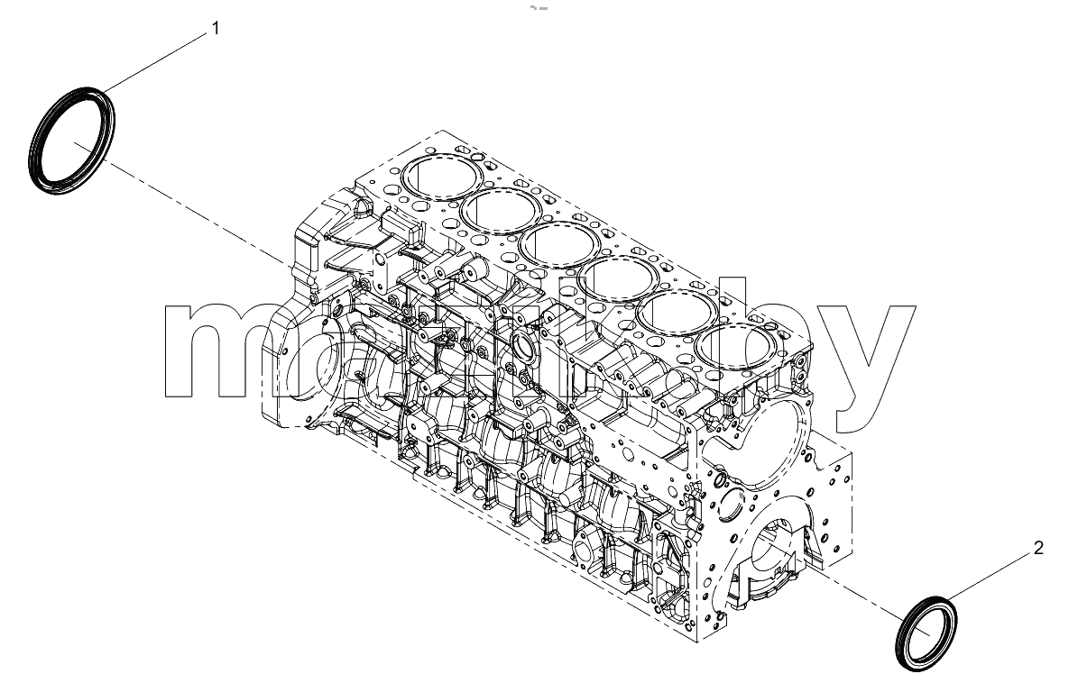  Oil Seal Group