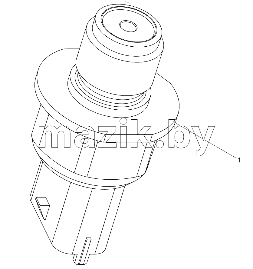  Common Rail