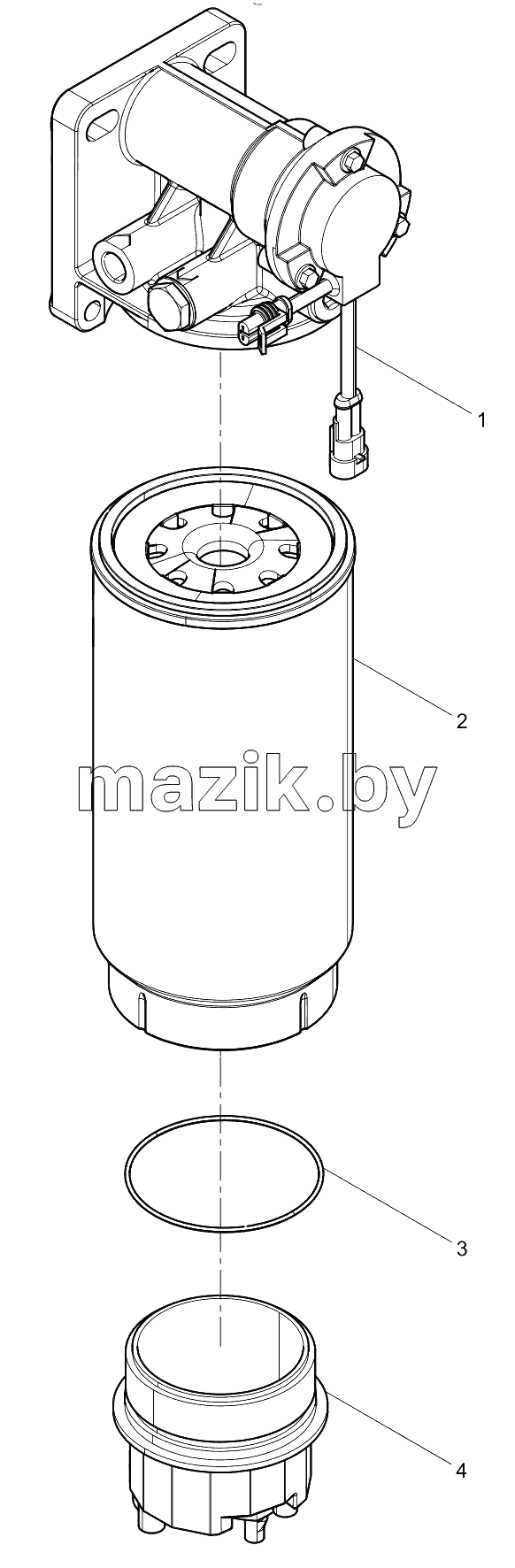  Fuel System Protector