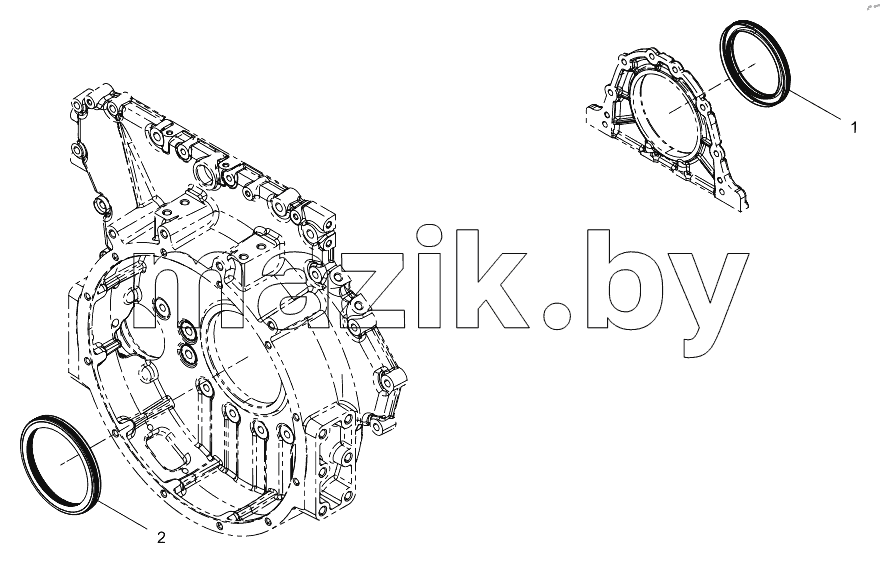  Oil Seal Group