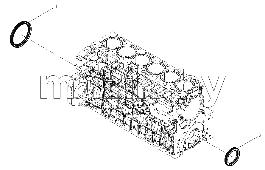  Oil Seal Group