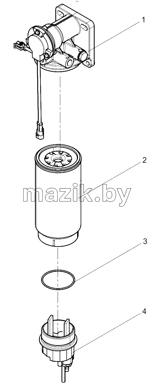  Fuel System Protector