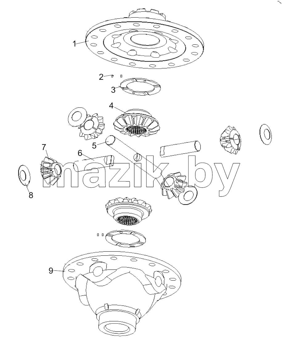  459310674 DIFFERENTIAL ASSEMBLY