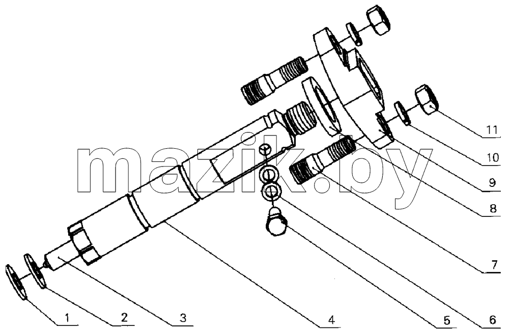 G0100-1112000 Fuel injector assembly