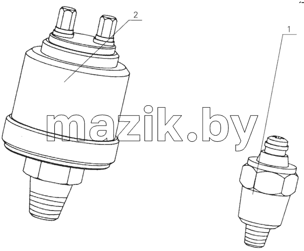 D30-3800000 Gauge assembly