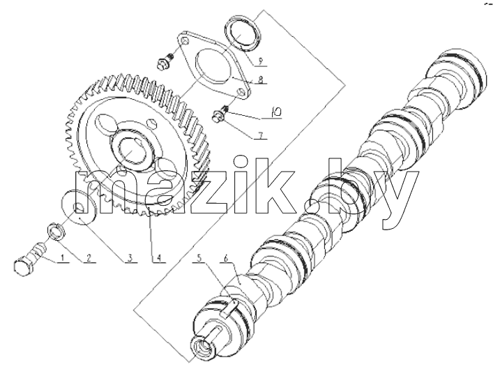  D4300-1006000 Camshaft Assembly