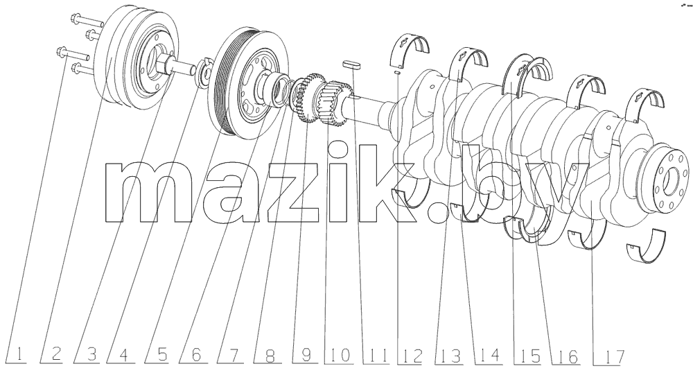 G0829-1005000 Crankshaft Vibration Damper Assembly