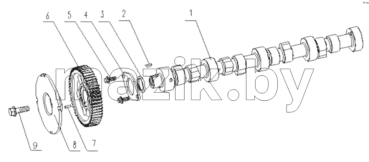  G2K00-1006000/01 Camshaft Assembly