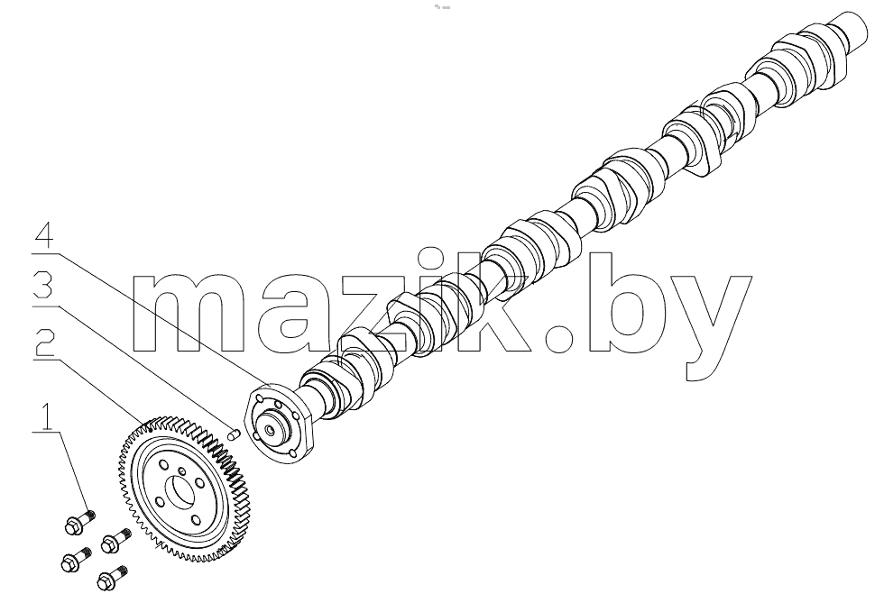  K6100-1006000 Camshaft Assembly