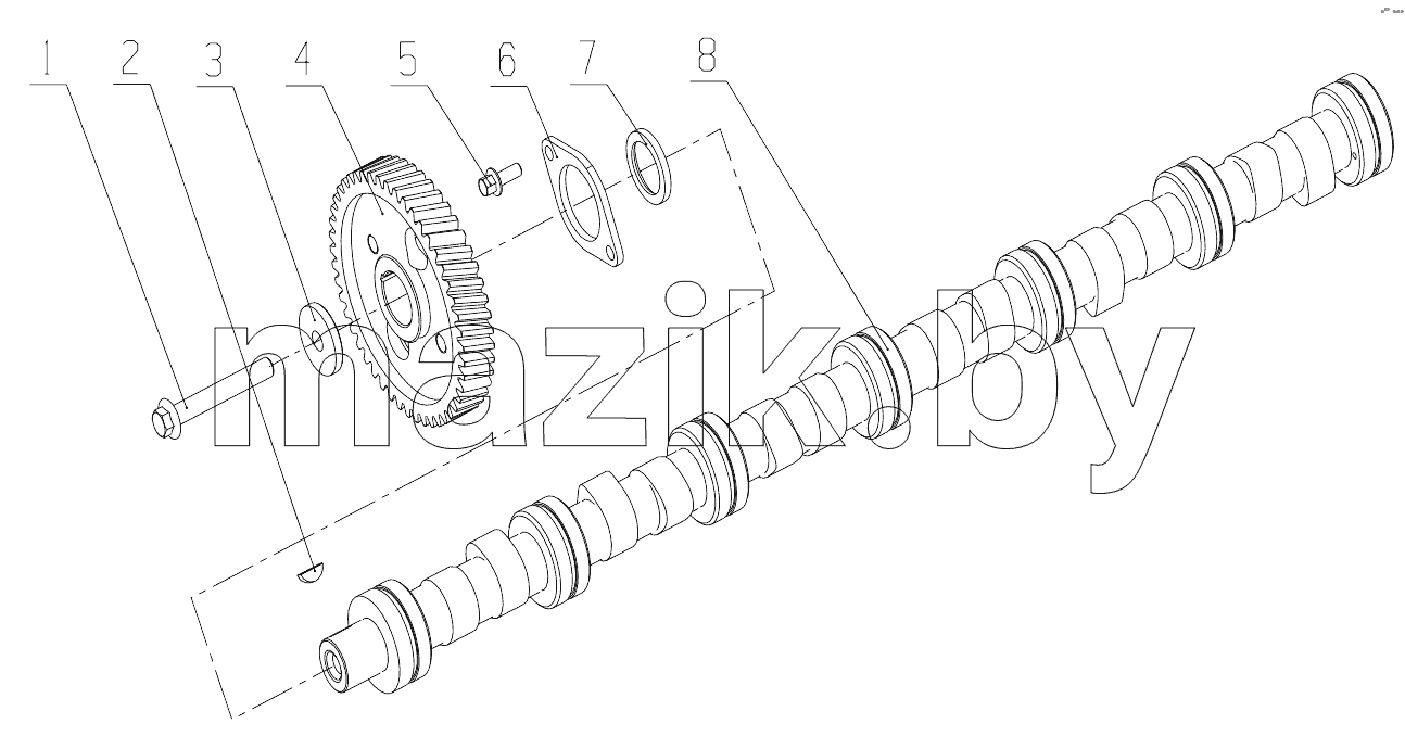  LN100-1006000/06 Camshaft Assembly