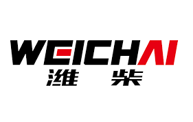 Запчасти WEICHAI, SHAANXI, SHACMAN